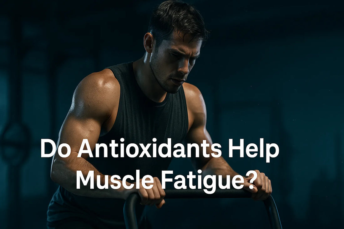 Do Antioxidants Help Muscle Fatigue?