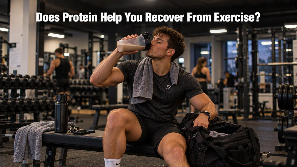 Does Protein Help You Recover From Exercise?