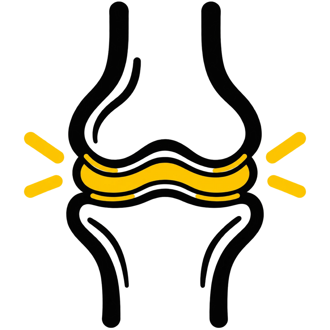 Supports Cartilage